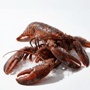 Frozen Lobsters